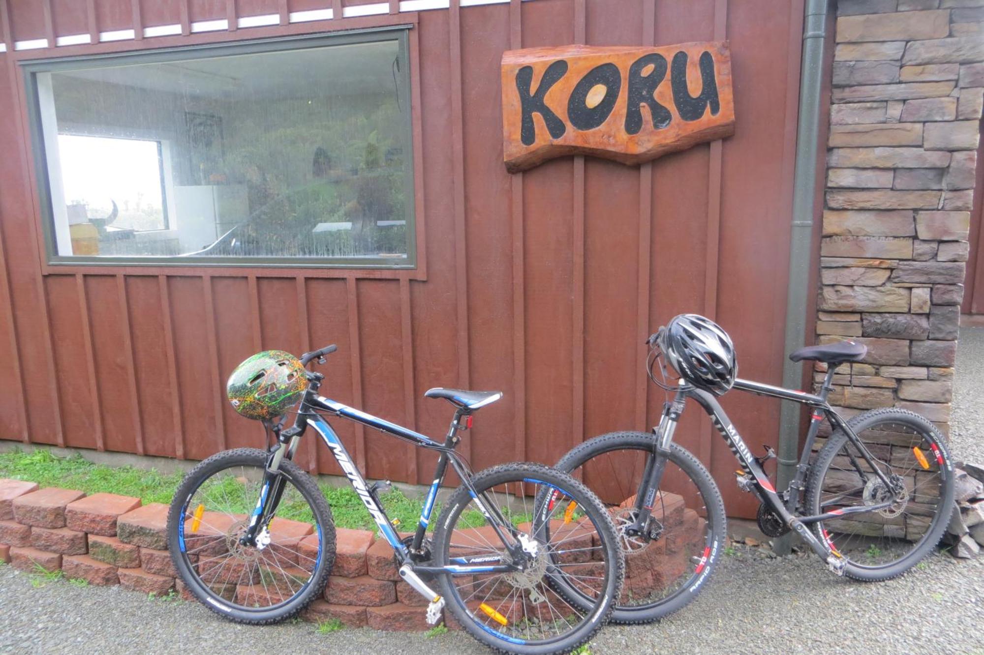 Koru Beachfront Holiday Cabins & Hot Tub Barrytown Εξωτερικό φωτογραφία
